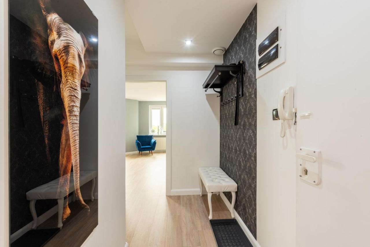 קולובז'ג Szafir Apartament מראה חיצוני תמונה